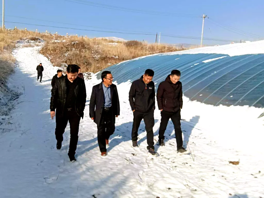 冒着严寒王杰先生在客户的带领下考察甘肃某香菇基地